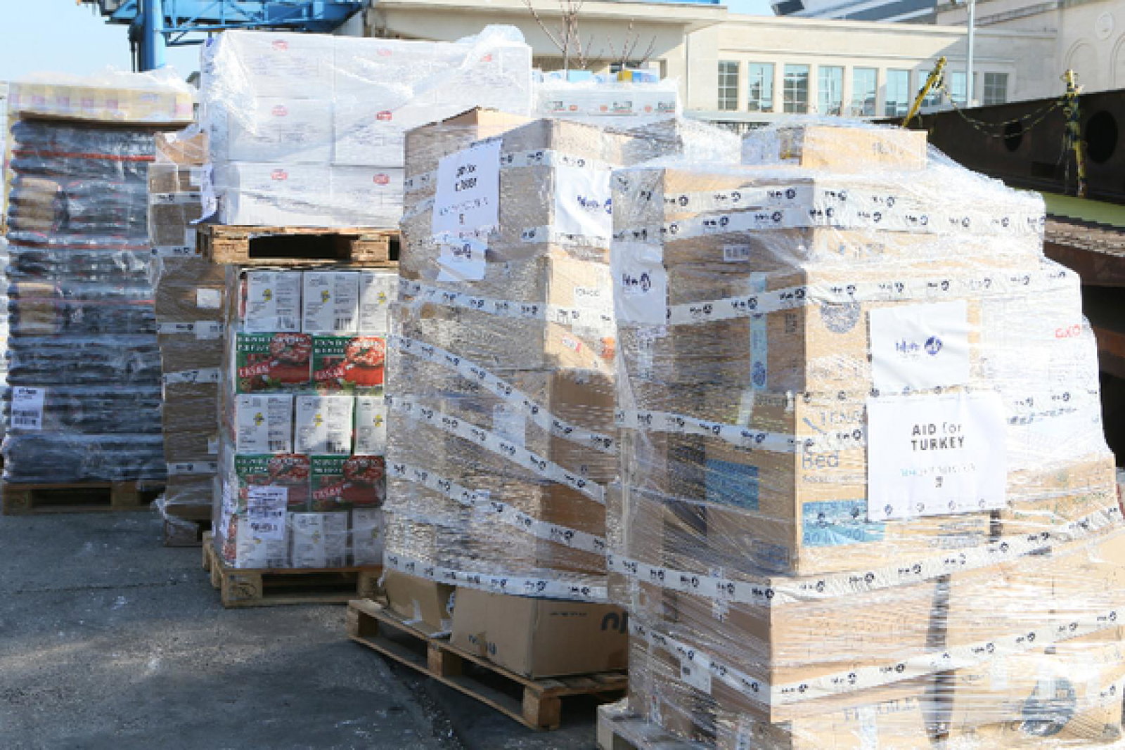 MSC to house displaced Turkey earthquake survivors on Aurelia