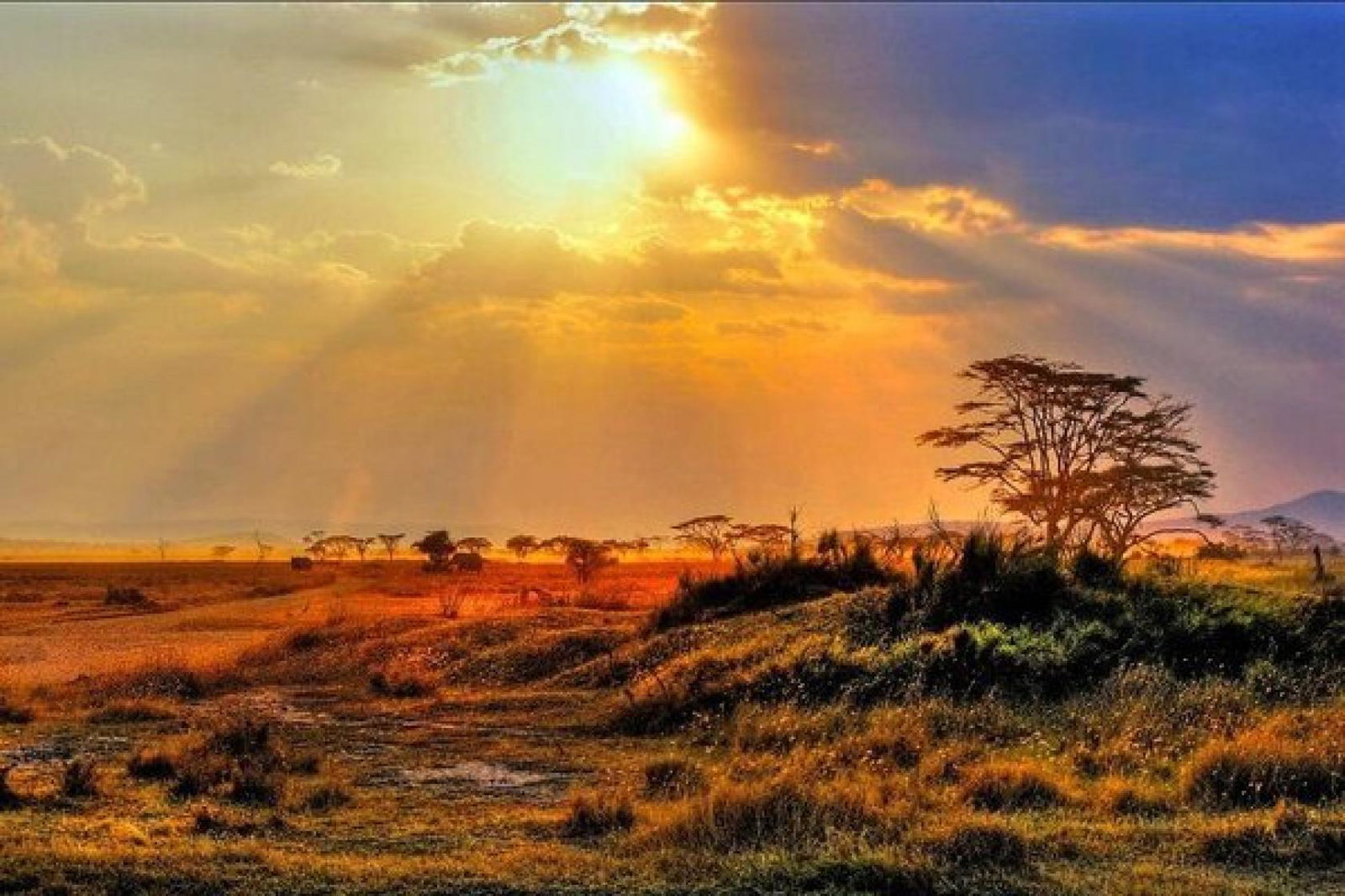 The Kruger National Park is one of Newmarket Holidays' Exclusive destinations (Credit: Newmarket Holidays)