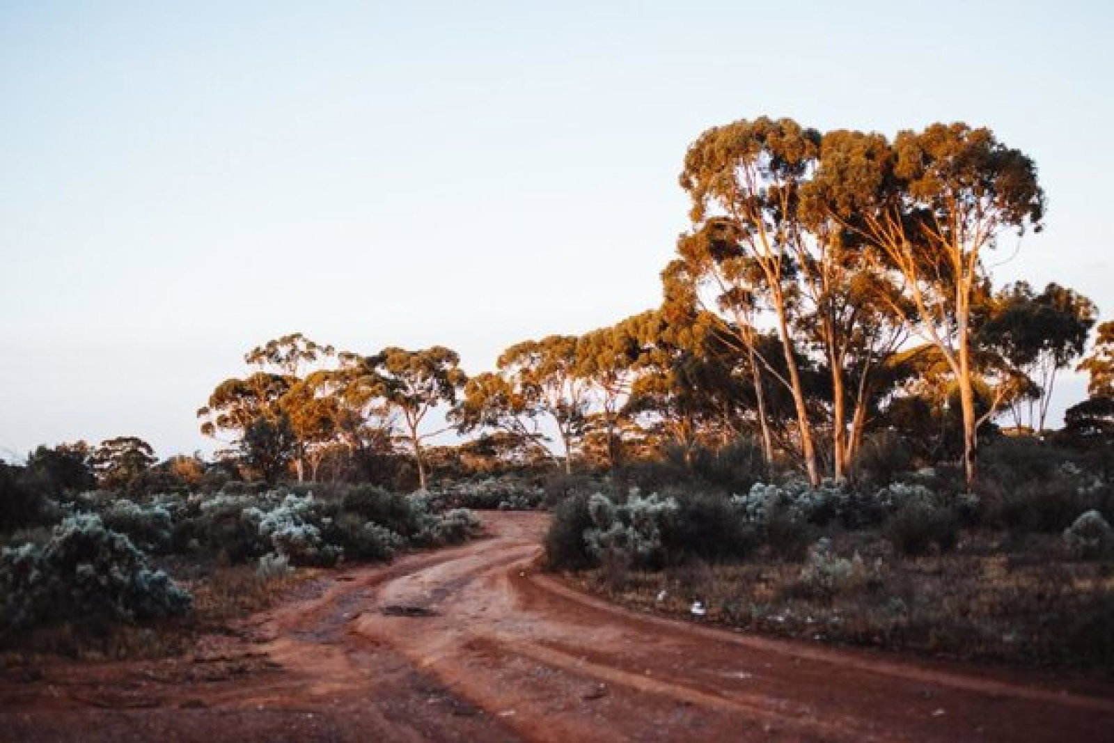 (Credit: Rachel Claire / Pexels)