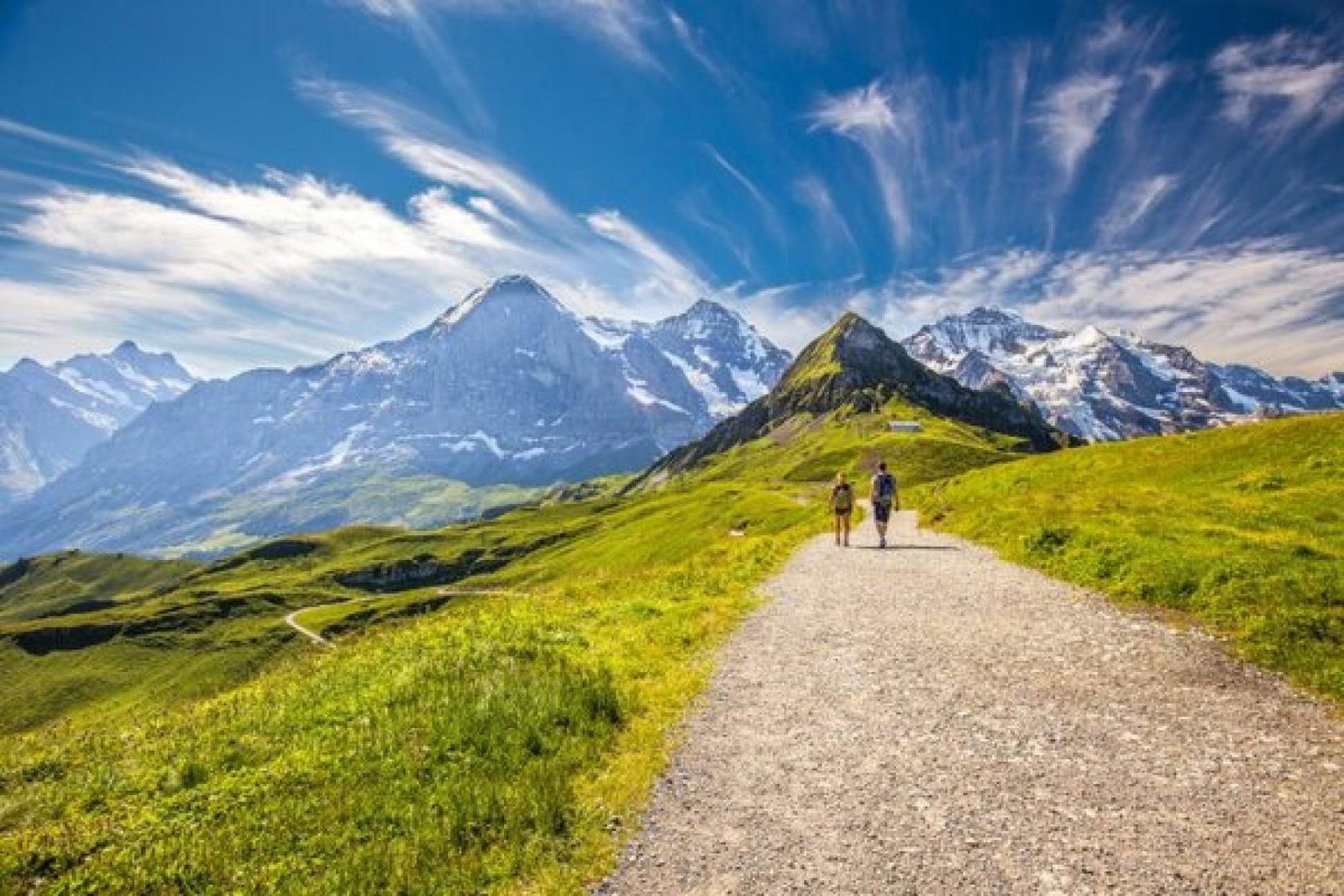 Inghams and other Hotelplan mountain brands are up for sale (Credit: Inghams / AdobeStock)
