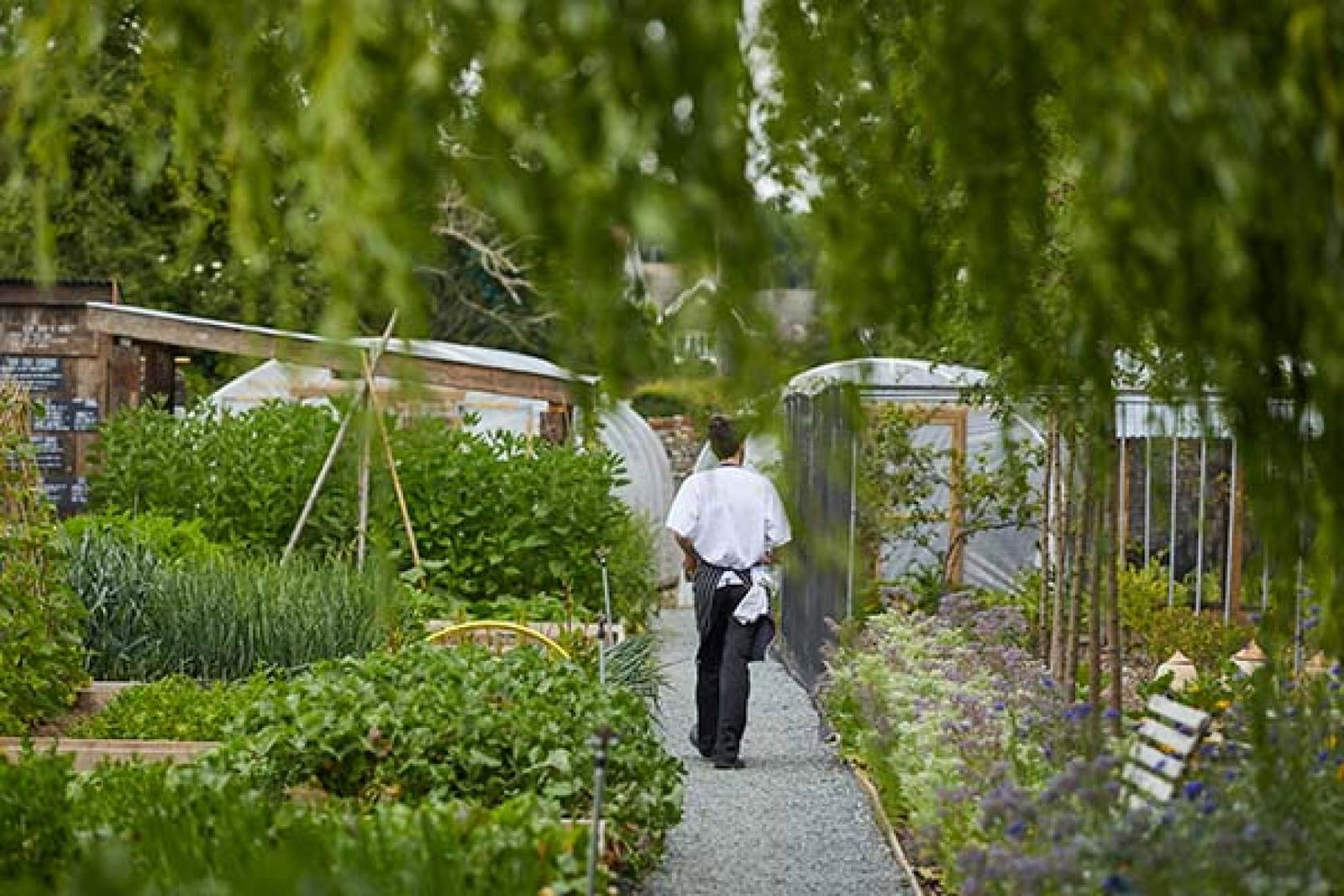 Kitchen gardens feature across The Pig's eight-strong portfolio