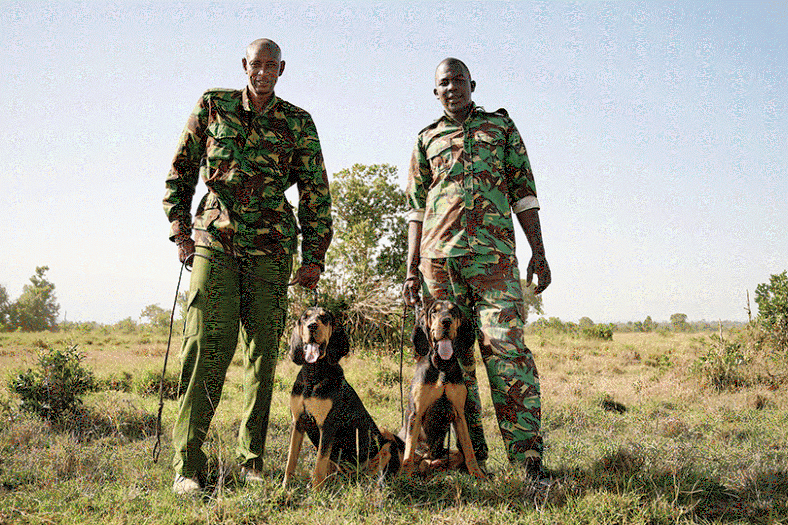 Ol Pejeta Kenya