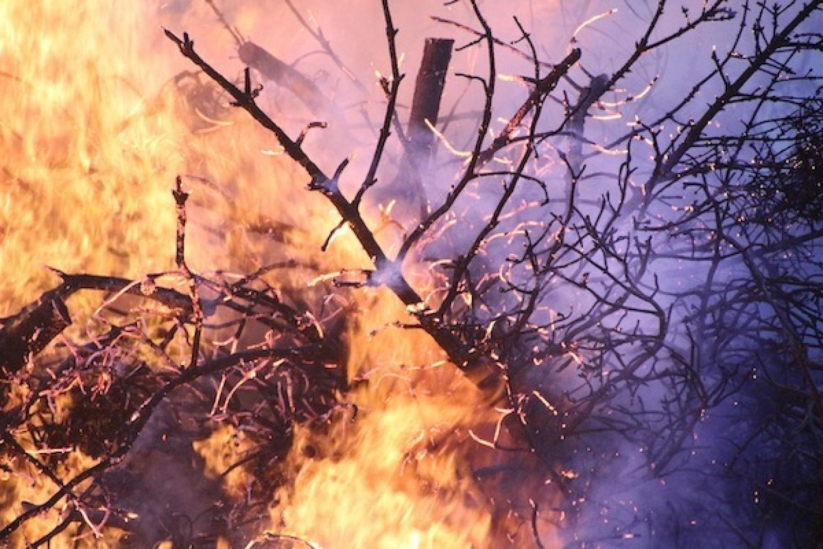 Med fires
