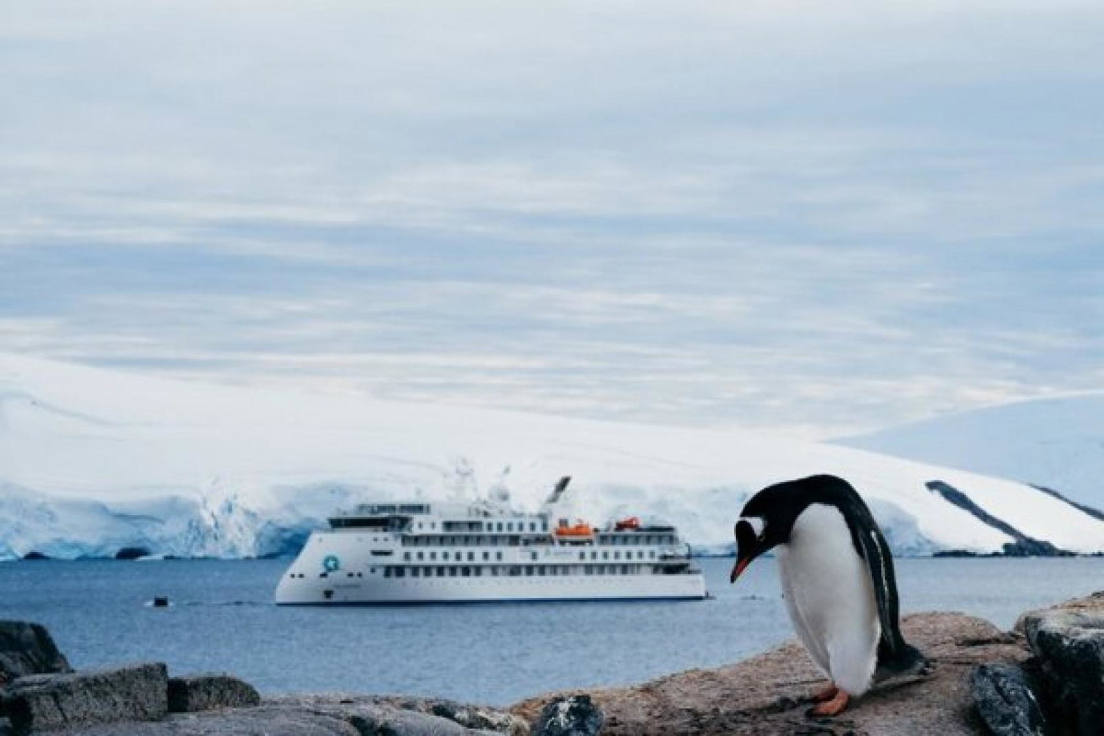 AE Expeditions Impact Report July 2023.jpg