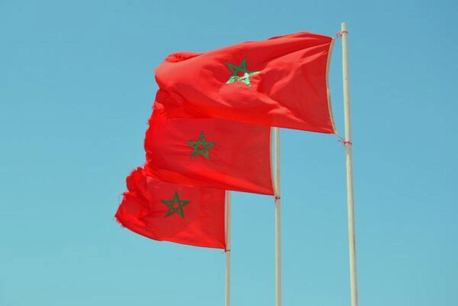 Moroccan flag (Credit: Tigmi Moiz on Unsplash)