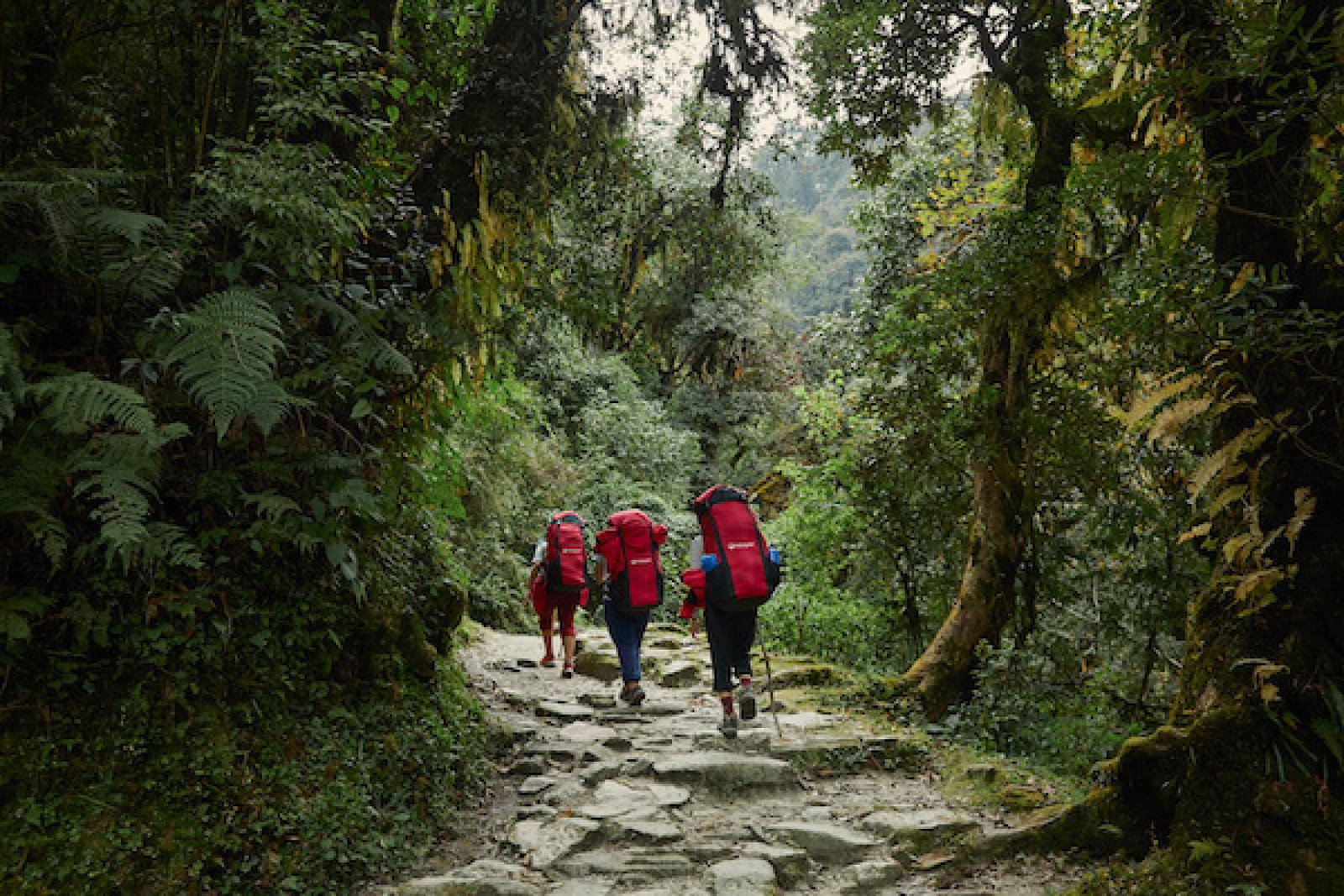 Intrepid-Travel-Nepal_Ghorepani_