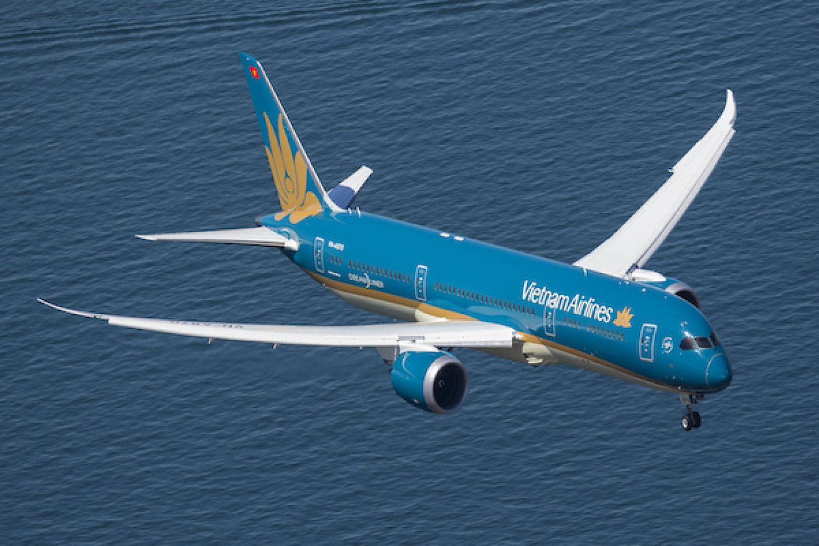 B787 Vietnam Airlines.jpg