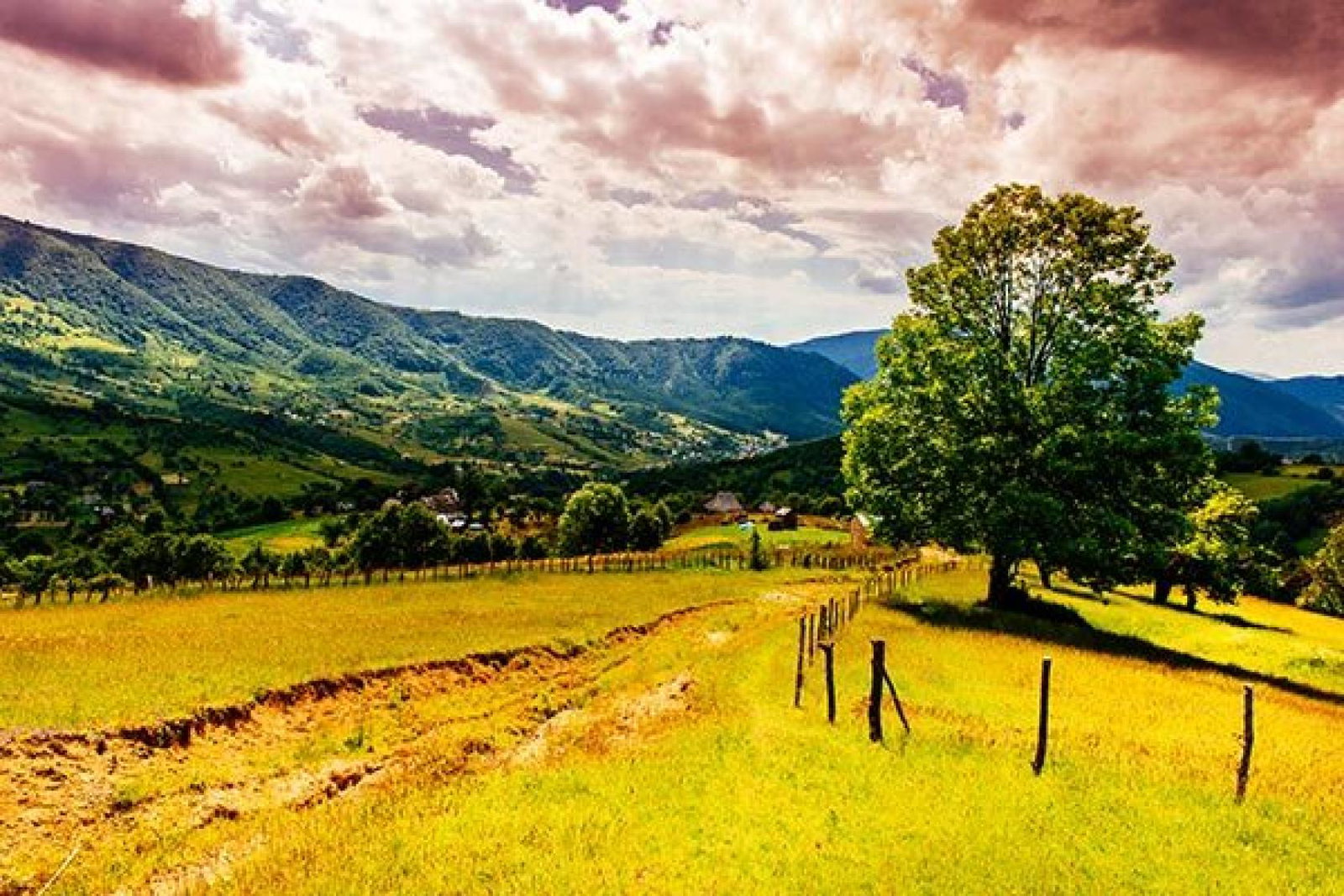Carpathians, Ukraine