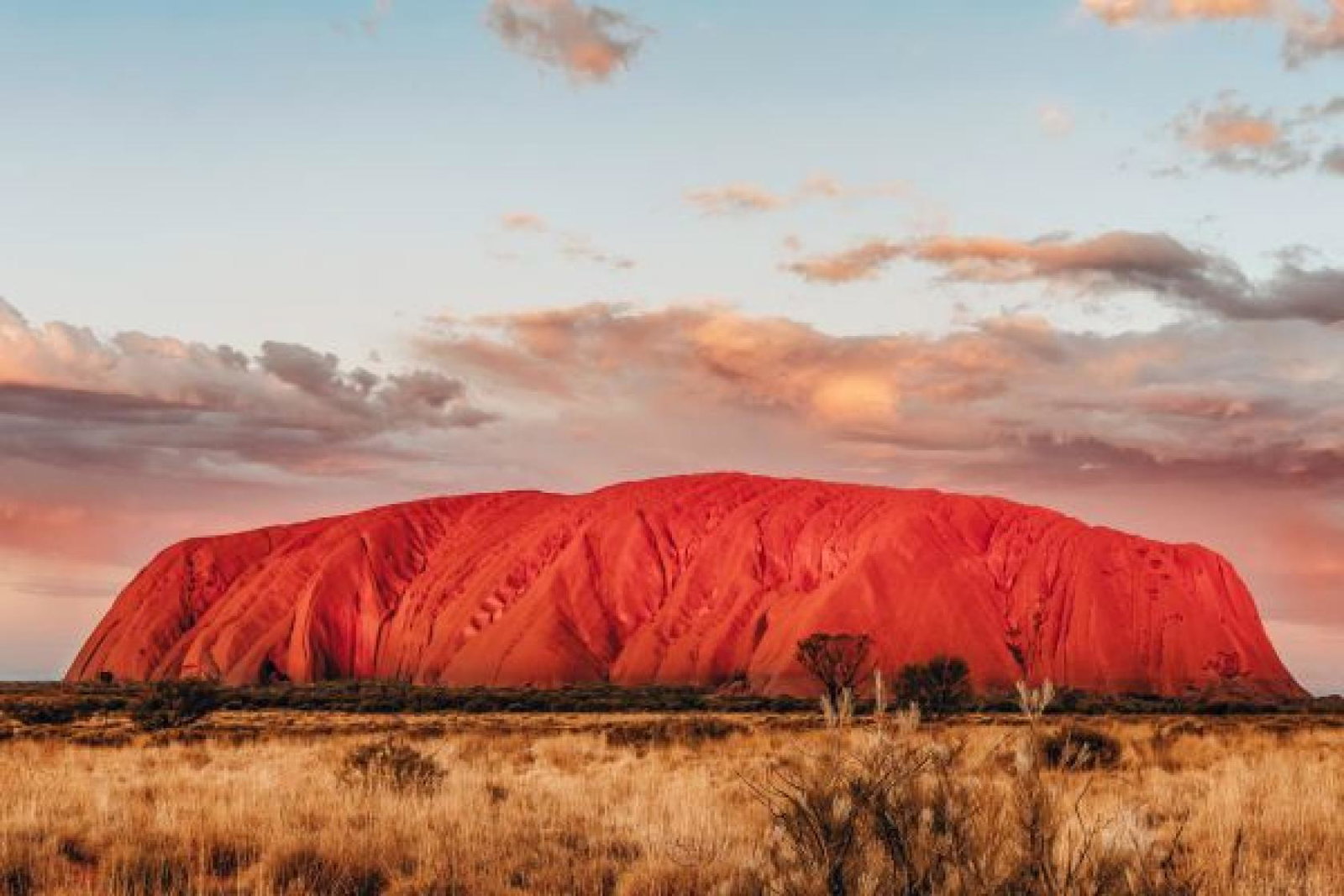 Uluru, November 2023.jpg