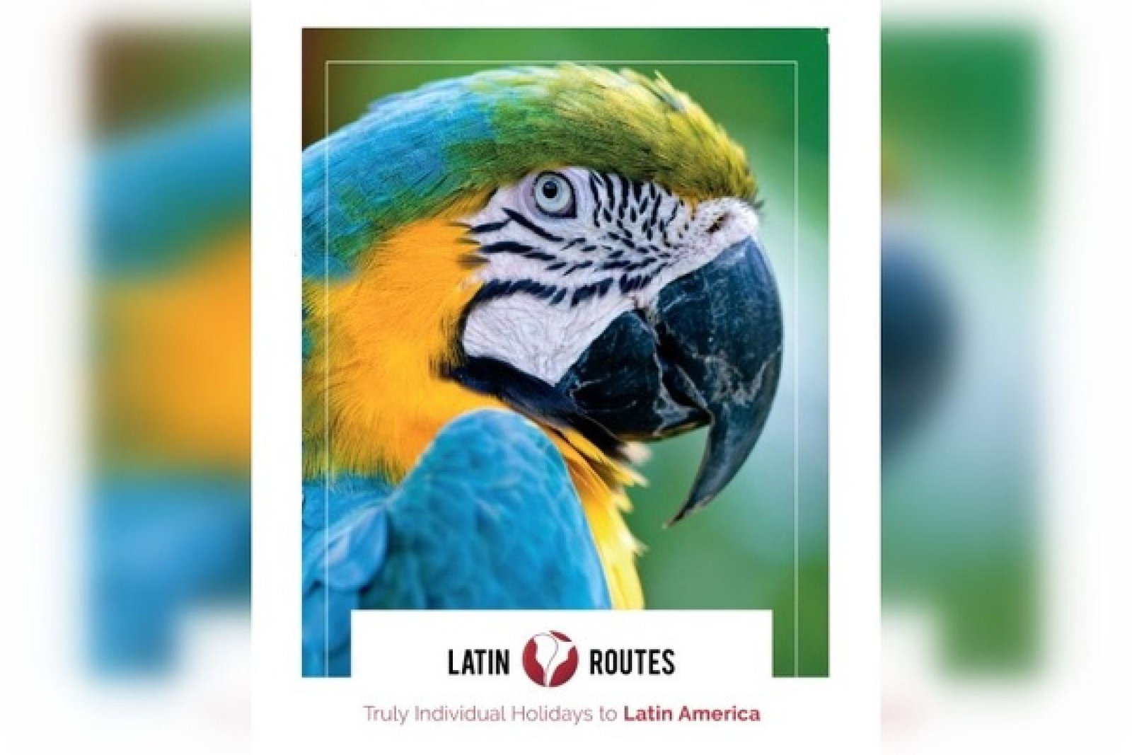Latin Routes Brochure December 2023-2.jpg