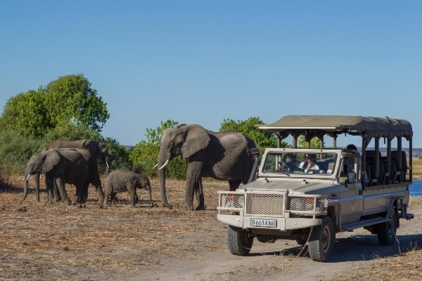 Chobe-Game-Lodge-1.jpg