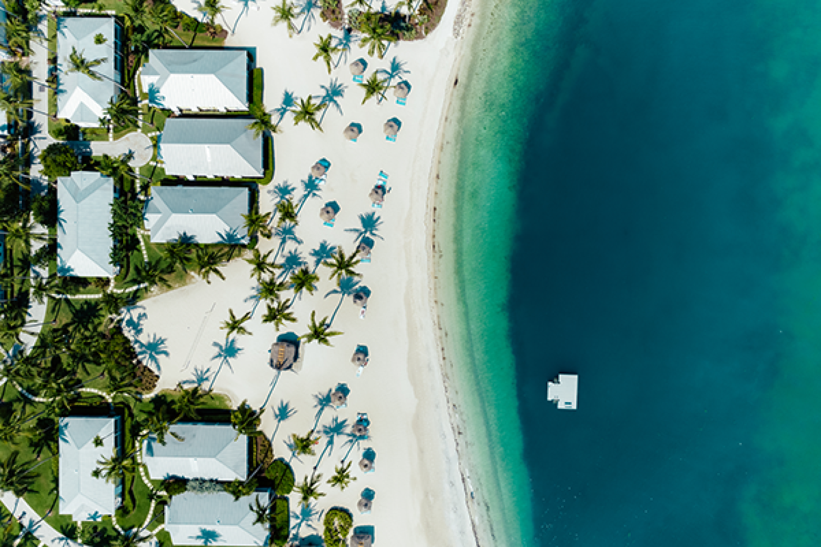 Cruise isn't for the ‘newlywed, overfed or nearly dead’: Florida cruise-and-stay tips