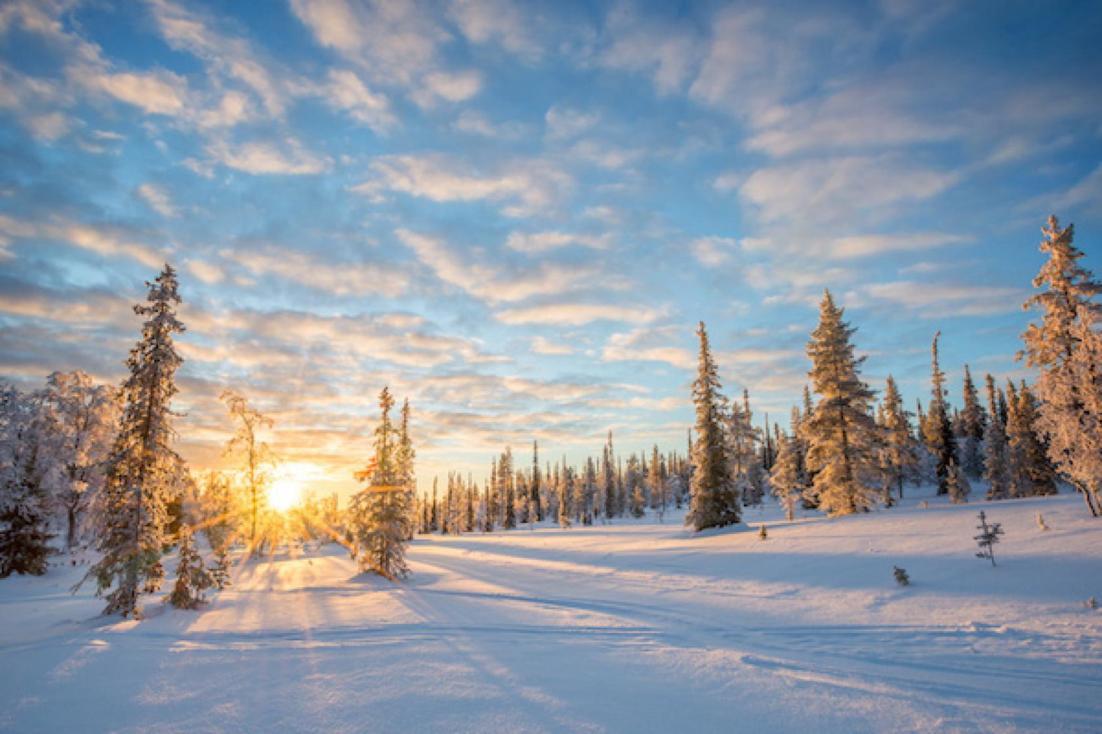 Finland - Saariselka, credit: ©Delphotostock - stock.adobe.com Delphine Poggianti