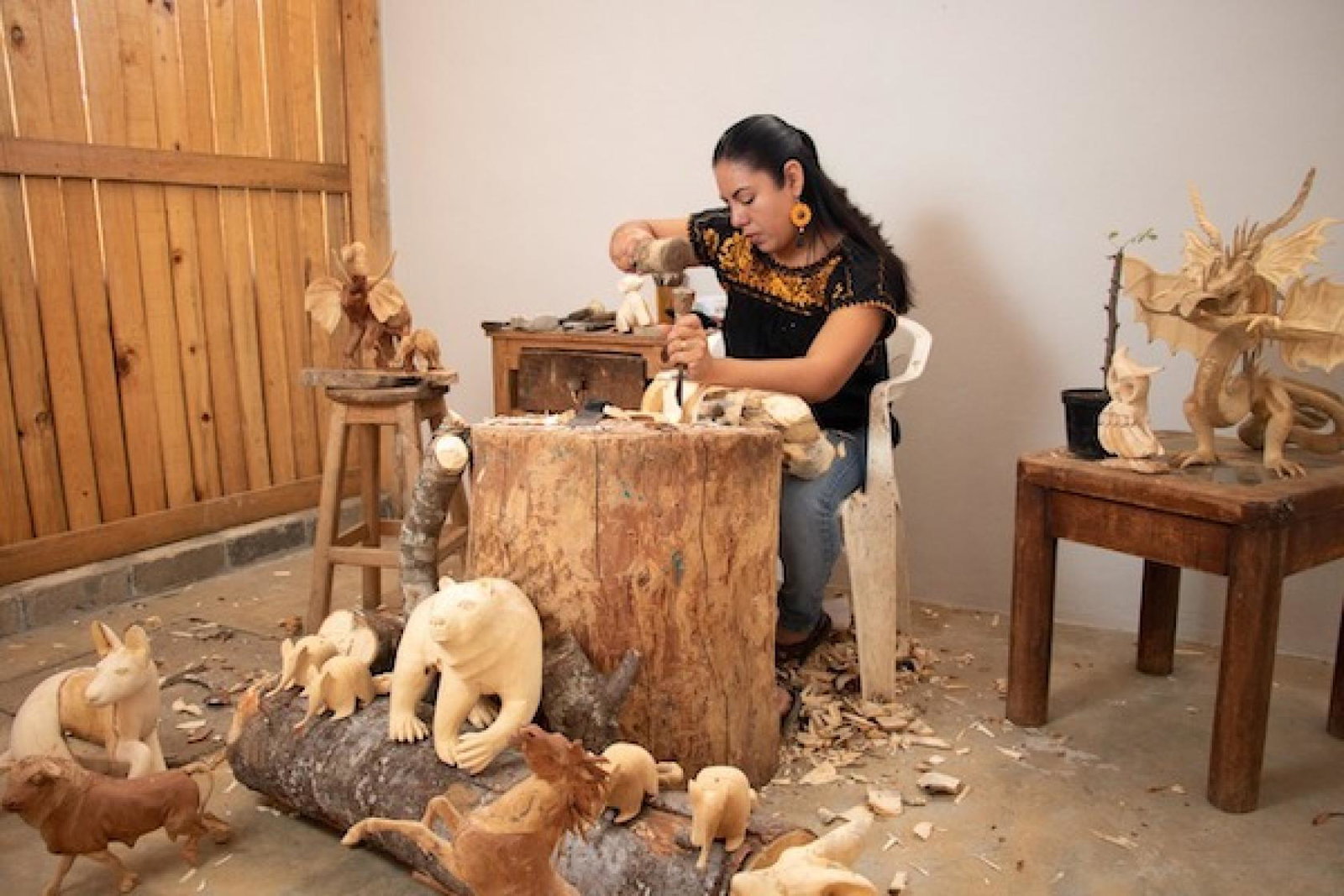 Mujeres Artesanas Zoológico Mágico in Oaxaca, Mexico, march24