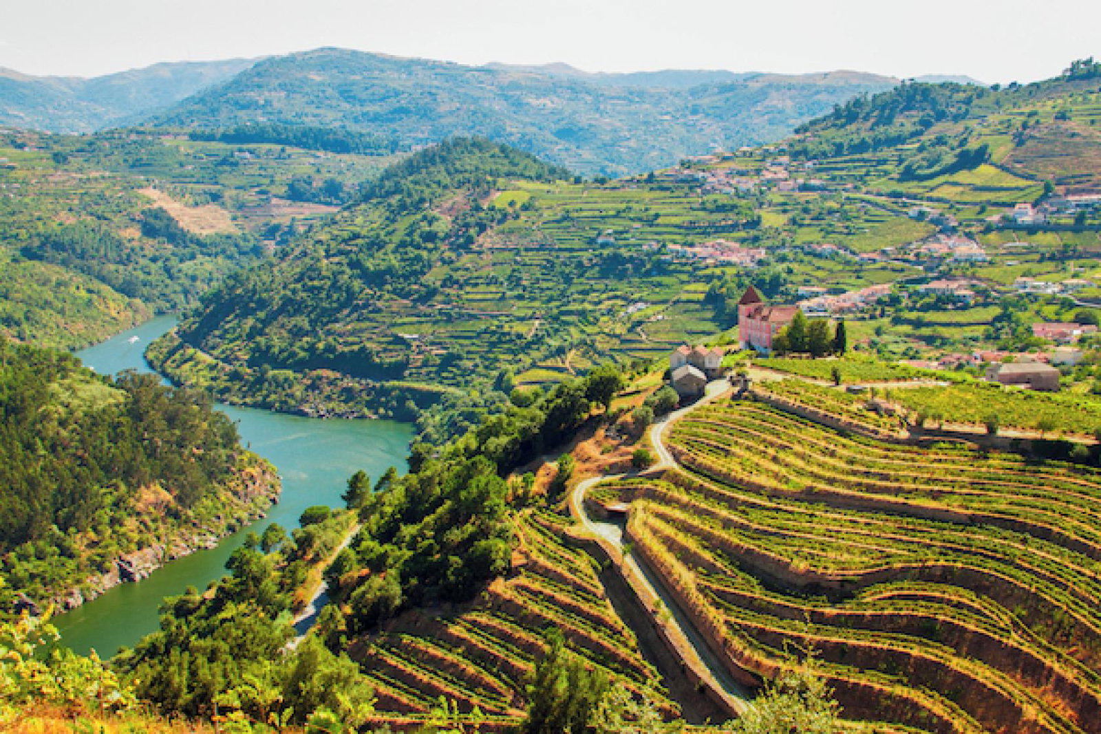 OPO_Alto_Douro_wine_region_517197377_Getty_1123_01_RGB-136-DPI-For-Web.jpg