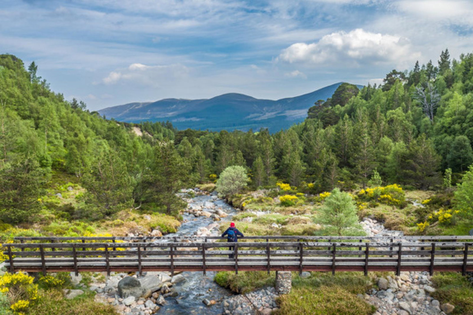 Loch_Morlich_c_VisitScotland_Airborne_Lens.jpg