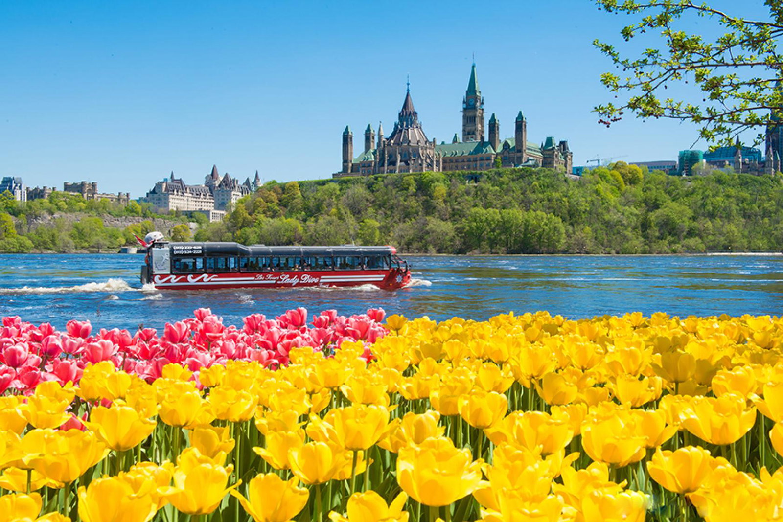 Canadian Tulip Festival