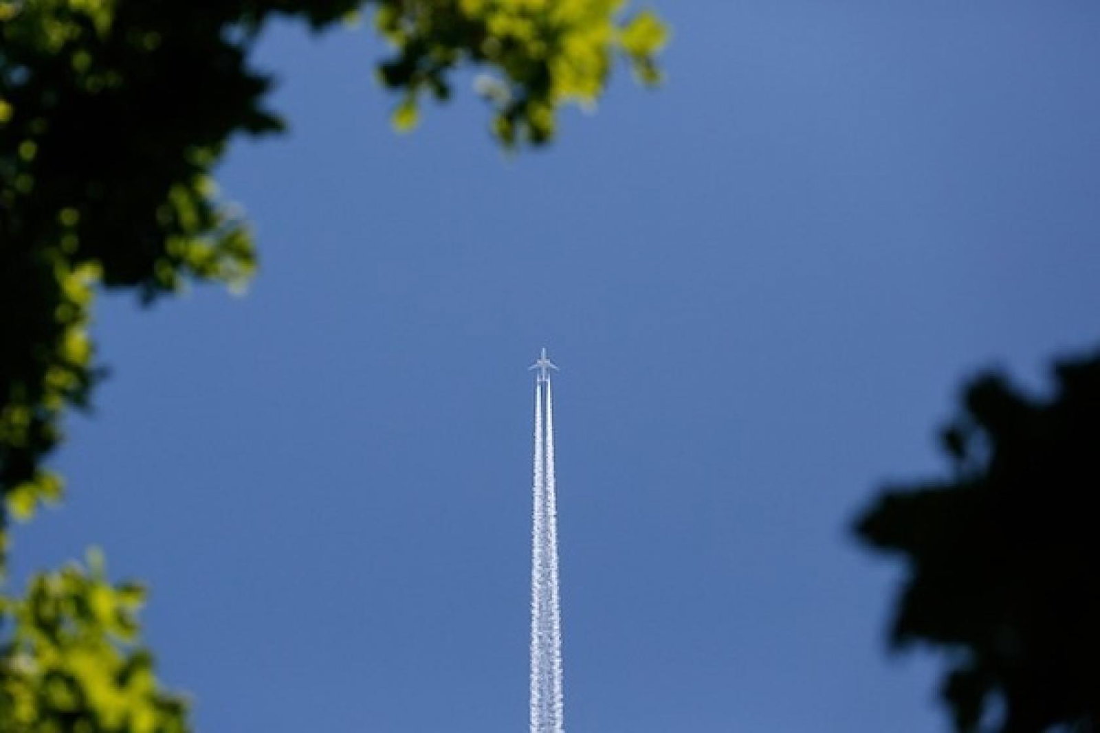 plane, may24, credit: schauhi/Pixabay