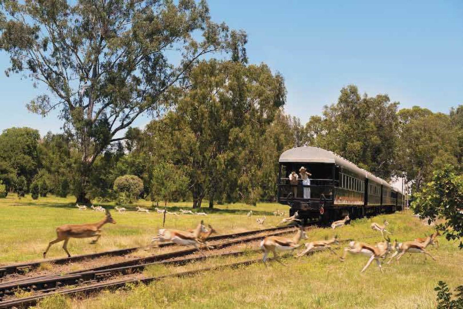 Mundy_Cruising_rail__web