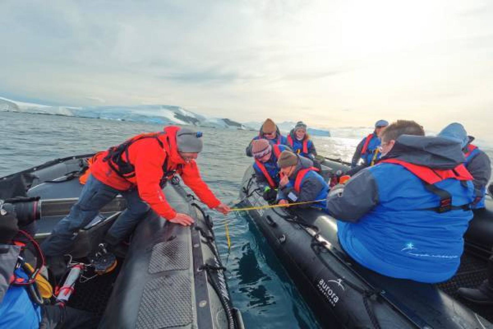 Clients can join Citizen Science projects on AE Expeditions sailings. Credit: Sasha Buch 