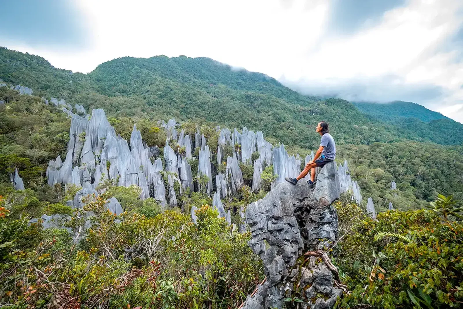 The Pinnacles at Mulu National Park 