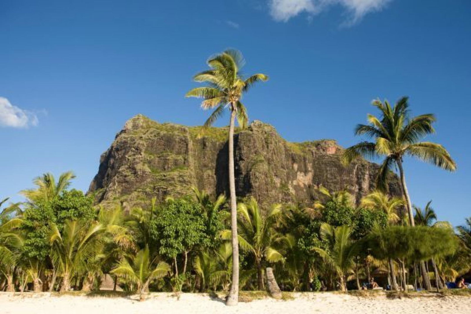 Le_Morne.jp