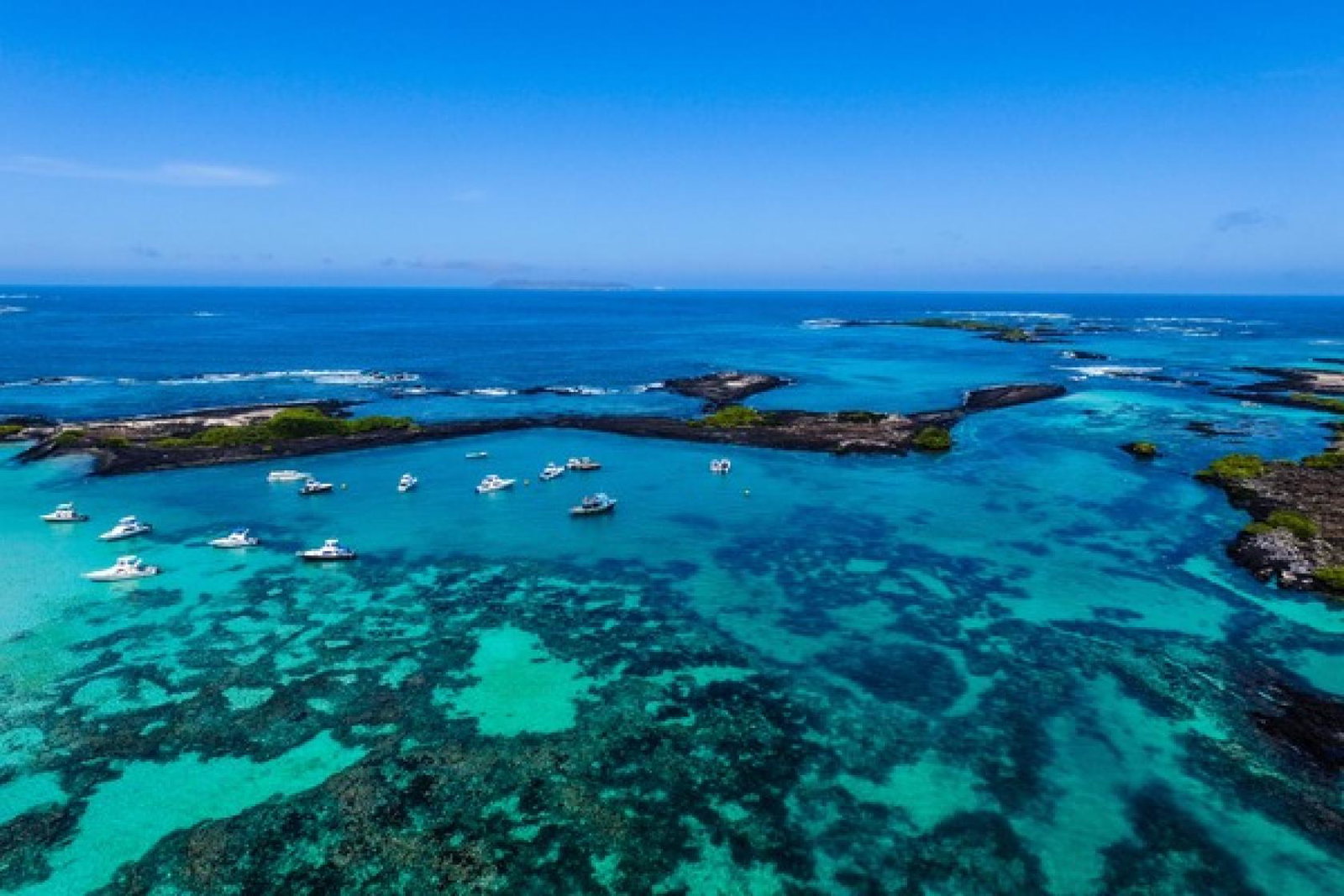 Exsus Travel announces exclusive Galapagos yacht fam