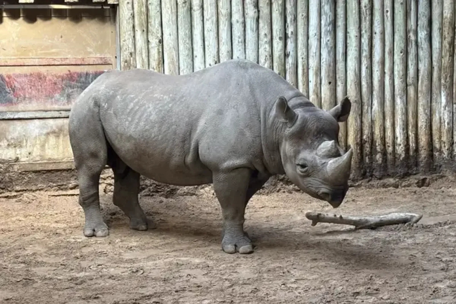 Chester Zoo