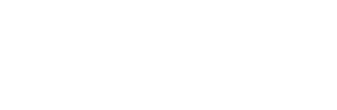 TRAVEL AMBASSADORS
