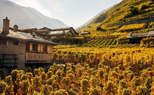 Switzerland - Martigny Combe Wine Region (Switzerland Tourism).jpg