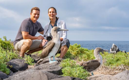 A couple crouched down behind a blue-footed booby on a beach