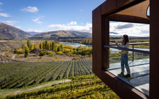 Woman sips on wine while looking over vineyard