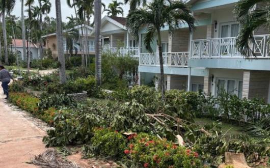Fallen palm trees at Sandals Ochi after hurricane Melissa in Jamaica