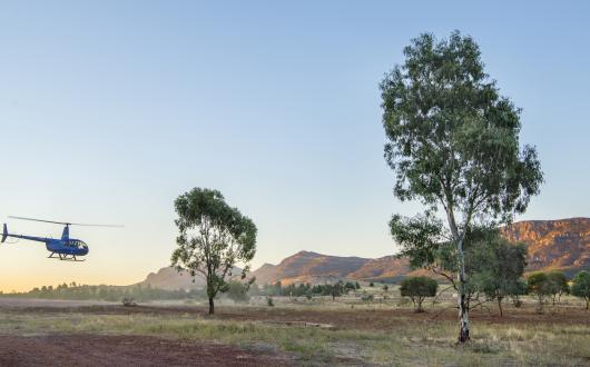 Rawnsley Park Station
