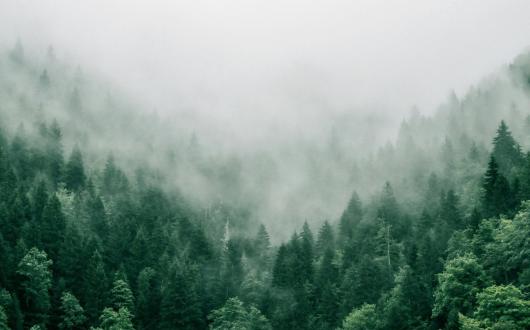 Inghams and Santa's Lapland has published a new Nature and Climate action plan