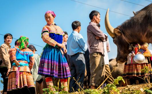 Intrepid has worked with the Da Bac community in Vietnam to create to create a number of authentic experiences for visitors to the area