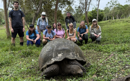  Galapagos Islands 