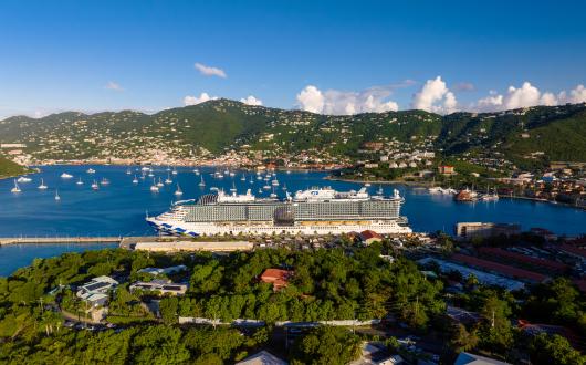 Princess Cruises ship surrounded by Caribbean setting, with blue ocean and tropical trees
