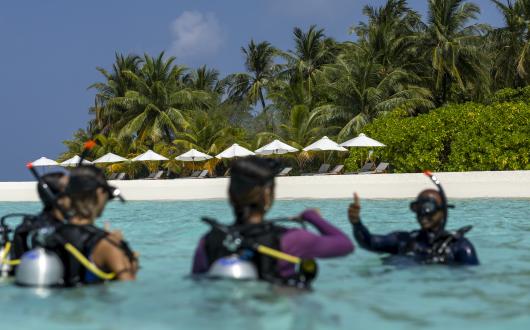 People wearing diving gear on the surface of clear blue ocean water with a white sand, parasol-lined beach in bacground