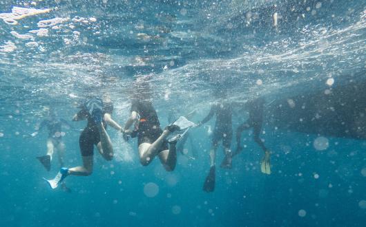 Snorkellers in the water