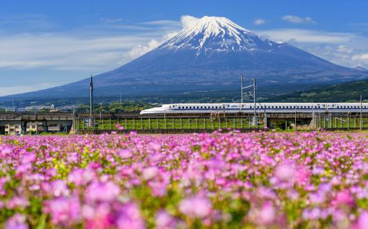 Bullet train and Mt Fuji