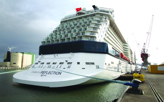 Celebrity Reflection