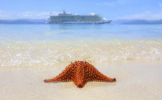 Cruise ship and starfish (stock)