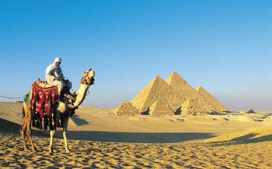 Egypt - camel in front of pyramids
