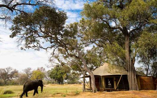 Xaranna elephant safari