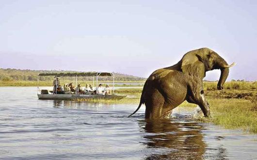 Botswana makes Explore's top-five list for 2020