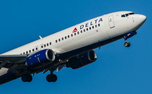 Delta Air Lines, 737