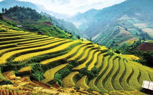 Inbound growth patterns