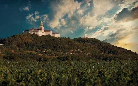 Pannonhalma Monastery and vineyards