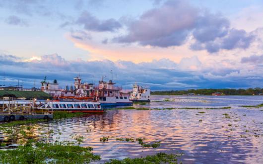 Amazon rainforest.jpg